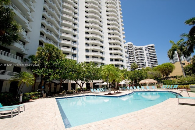 view of pool featuring a patio area