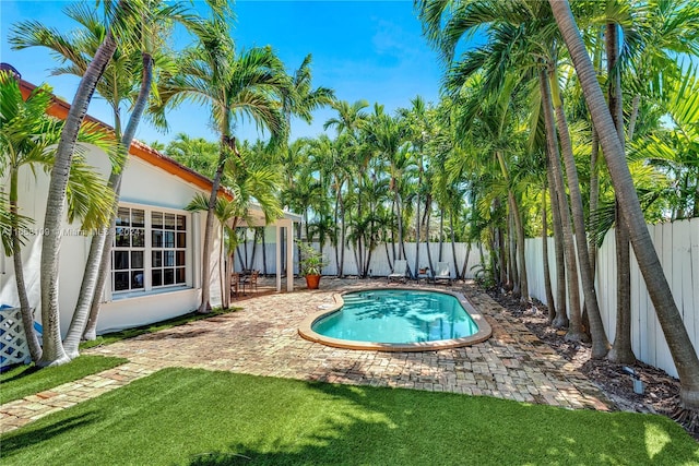 view of pool with a yard and a patio area