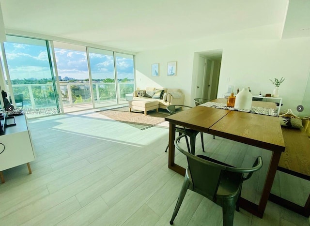 interior space with expansive windows and light wood finished floors