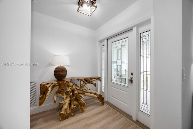 foyer entrance with light hardwood / wood-style floors