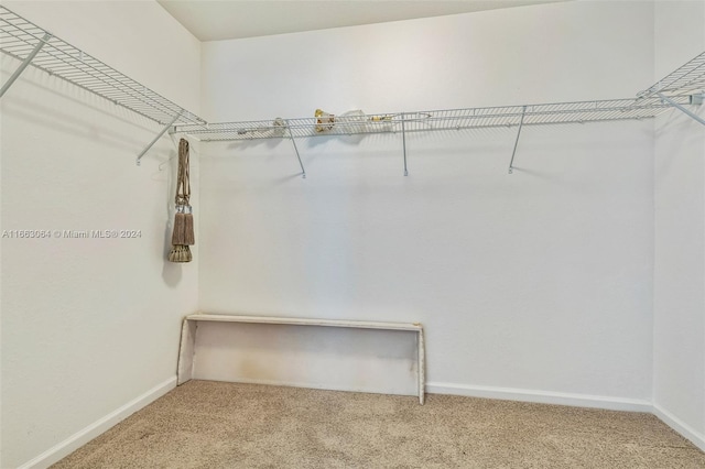 walk in closet featuring carpet