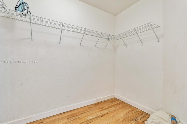 spacious closet featuring wood-type flooring