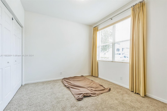 unfurnished room featuring carpet floors