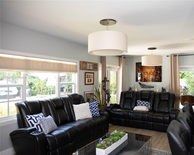 living room featuring a wealth of natural light and hardwood / wood-style floors