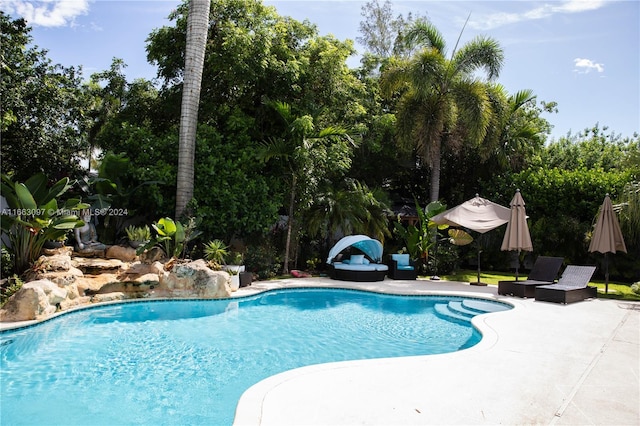 view of swimming pool with a patio area