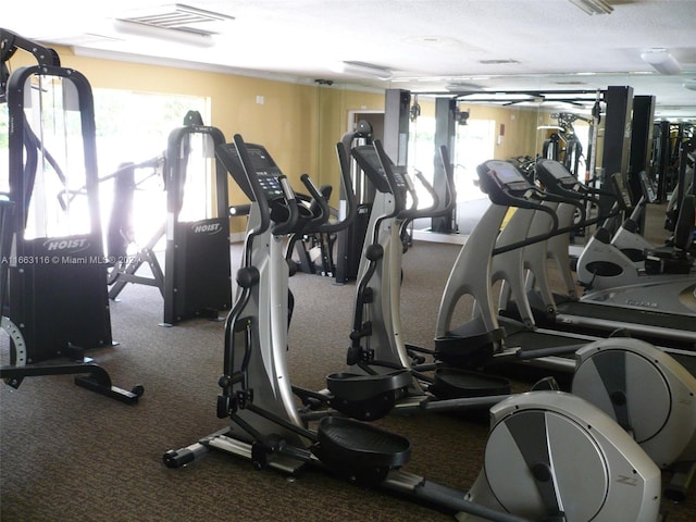 workout area featuring plenty of natural light