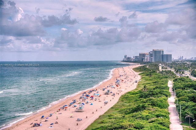 property view of water featuring a view of the beach