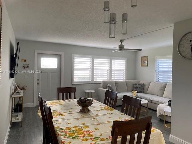 dining area featuring a wealth of natural light, ceiling fan, a textured ceiling, and dark hardwood / wood-style flooring