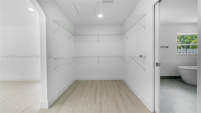 spacious closet with light hardwood / wood-style floors