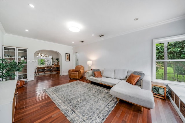 living room with ornamental molding, a chandelier, and dark wood-type flooring