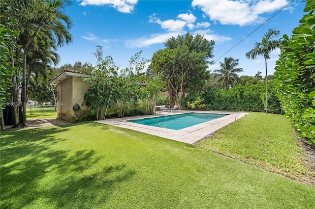 view of swimming pool with a yard