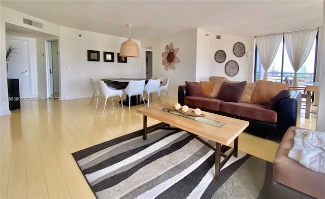 living room featuring wood-type flooring