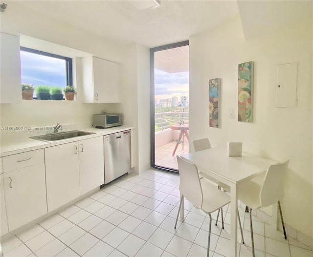 kitchen with white cabinets, dishwasher, plenty of natural light, and sink