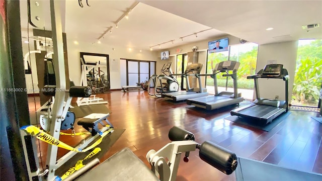 gym featuring track lighting and hardwood / wood-style flooring