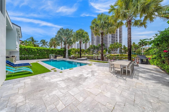 view of pool with a patio area