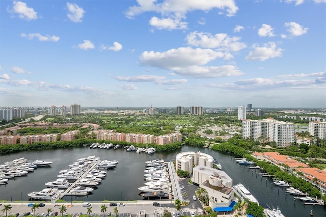 aerial view with a water view