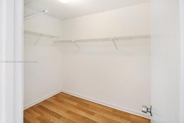 walk in closet featuring hardwood / wood-style flooring