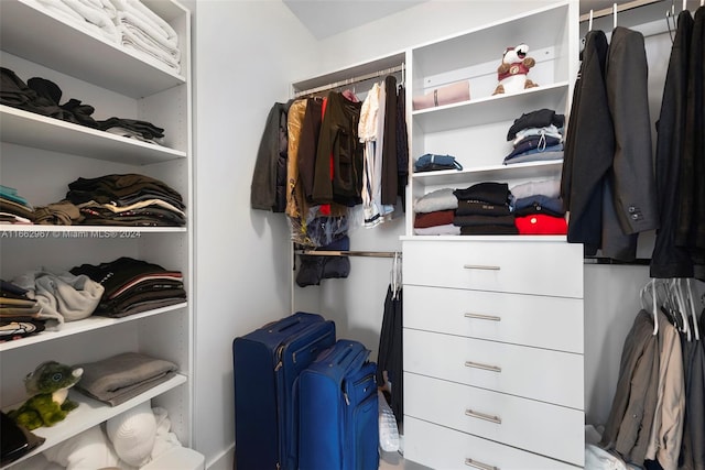 view of spacious closet