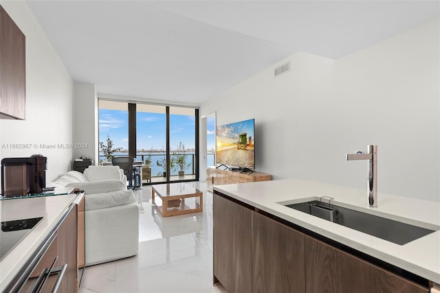 kitchen featuring sink, a wall of windows, and dark brown cabinets