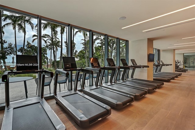 exercise room featuring expansive windows and hardwood / wood-style floors