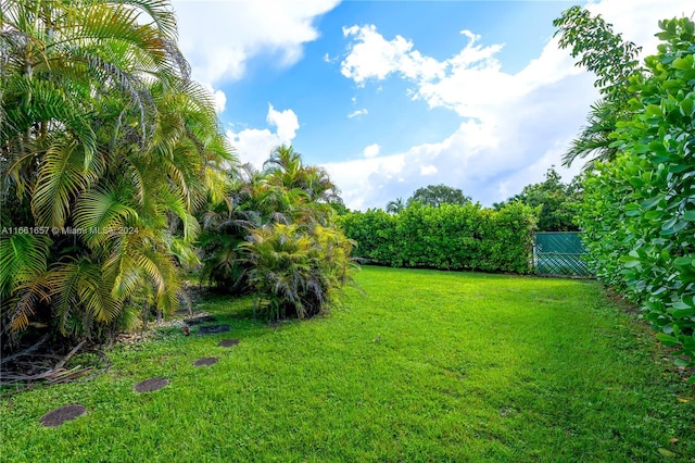 view of yard