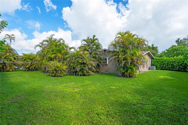 view of yard featuring central AC