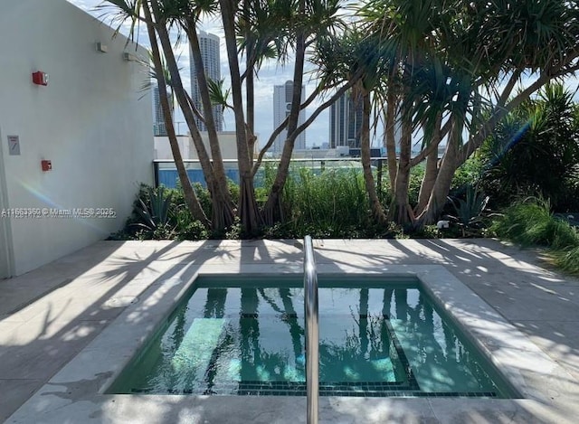 view of swimming pool with a patio and a swimming pool