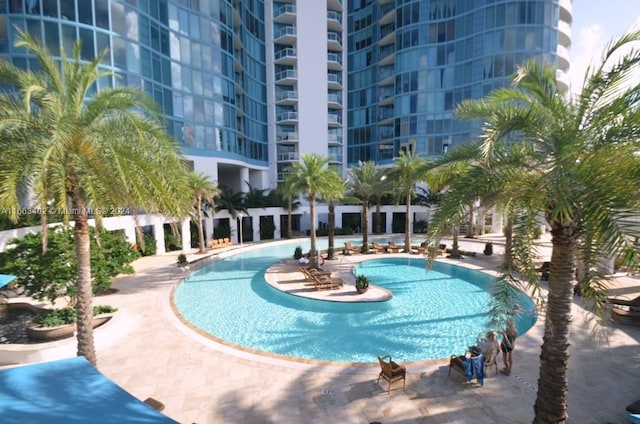 view of swimming pool featuring a patio area