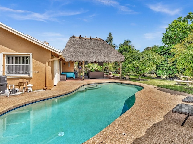 view of pool featuring a patio and outdoor lounge area