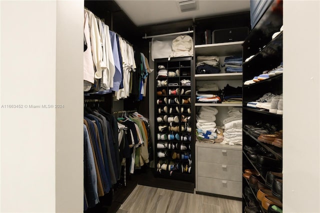 spacious closet with hardwood / wood-style flooring