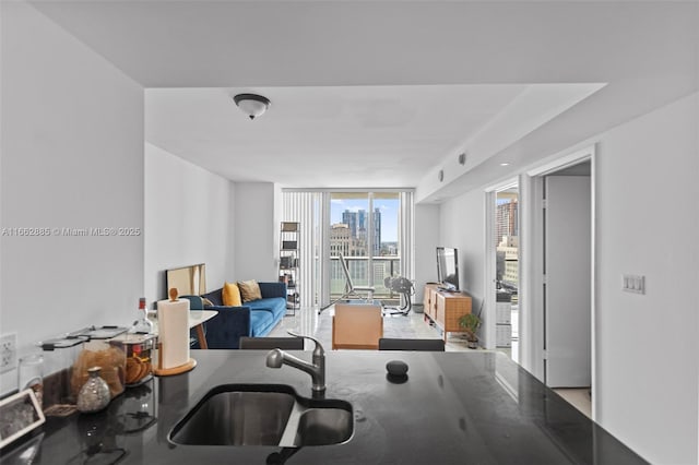 workout room with a wall of windows and a sink