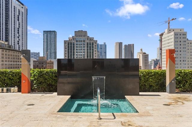 view of pool featuring a patio