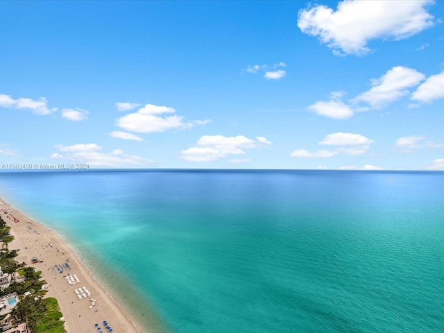 water view featuring a beach view