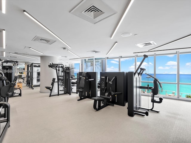 gym featuring light carpet, a water view, and a wall of windows