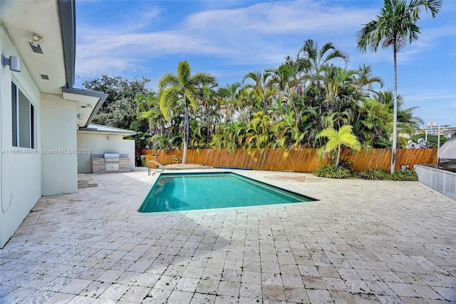 view of pool with an outdoor kitchen and a patio