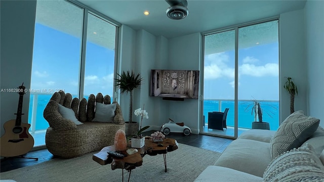 living room featuring a water view and a healthy amount of sunlight