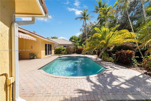 view of pool with a patio