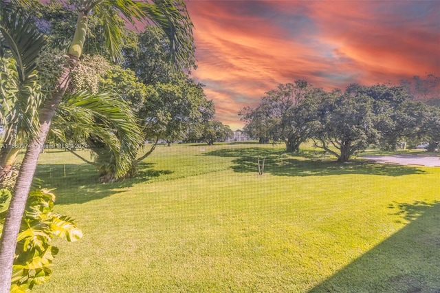 view of yard at dusk