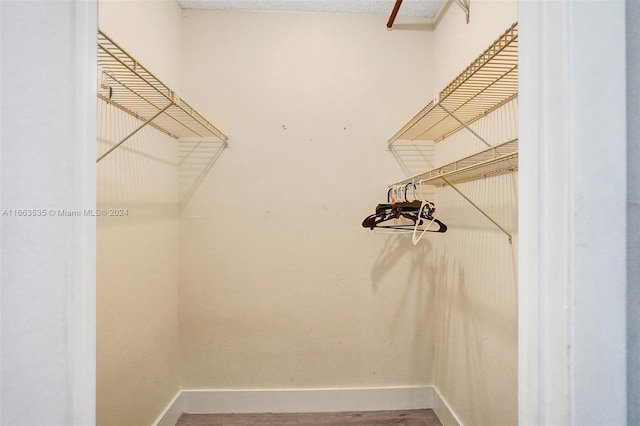 spacious closet featuring wood-type flooring