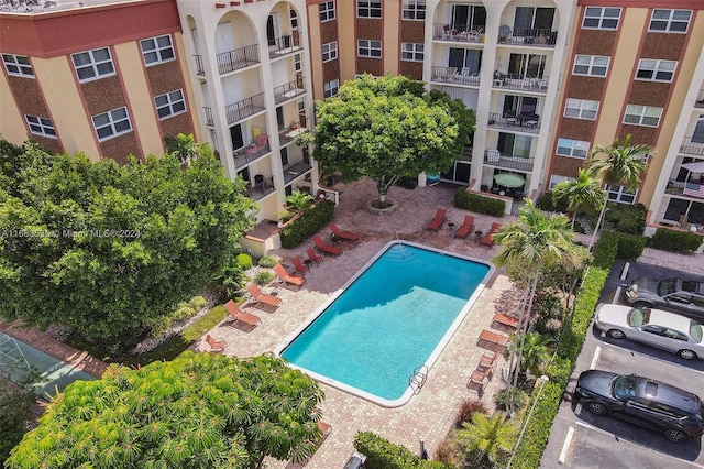 view of swimming pool with a patio area