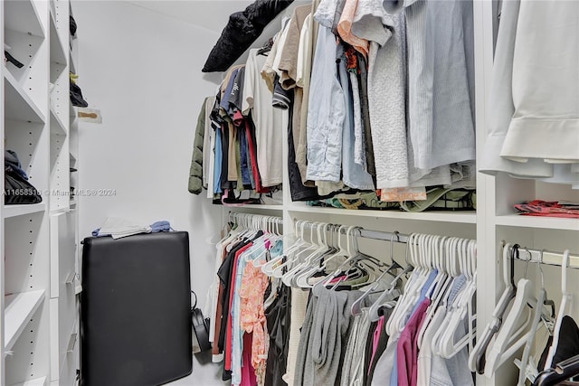 view of spacious closet