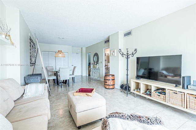 living room featuring a textured ceiling