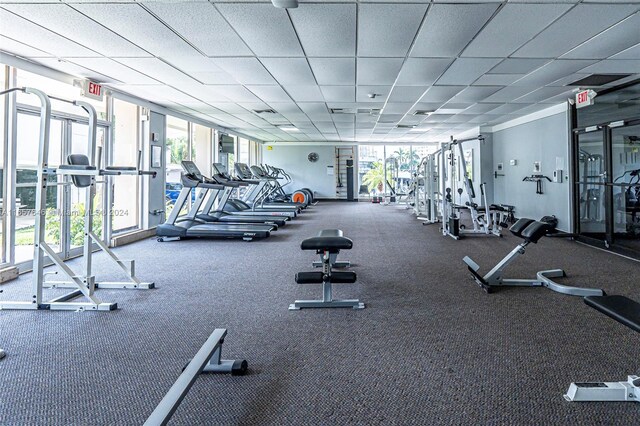 exercise room with a wall of windows and a drop ceiling