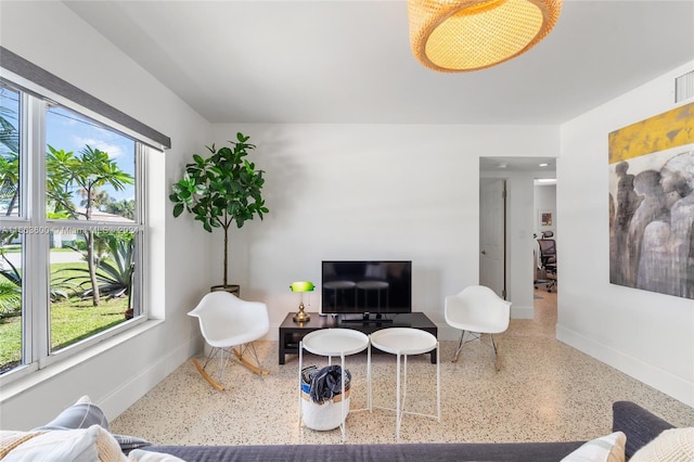 living room featuring a wealth of natural light