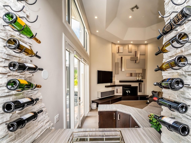 wine cellar featuring a high ceiling and a raised ceiling