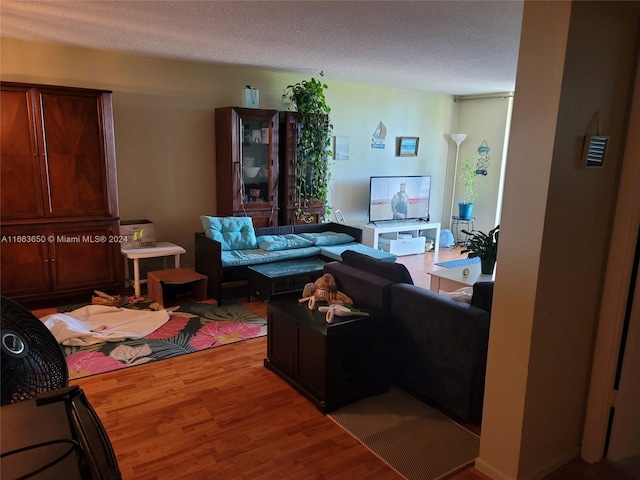 living room with wood-type flooring and a textured ceiling