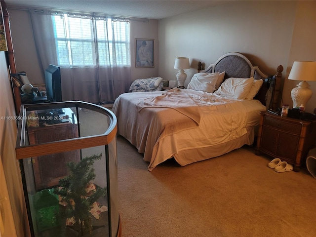 carpeted bedroom with a textured ceiling