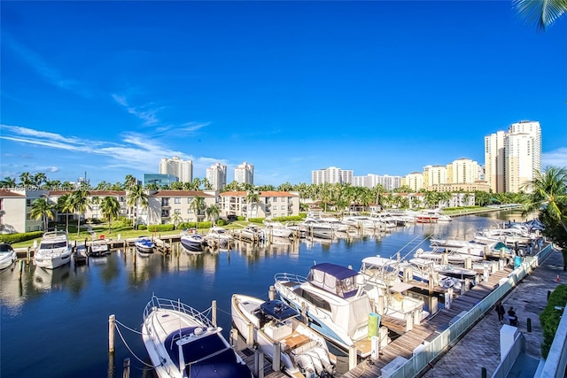 dock area with a water view