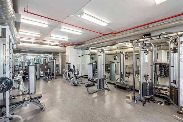 exercise room with hardwood / wood-style floors