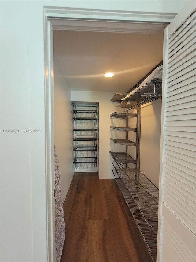 spacious closet featuring hardwood / wood-style flooring